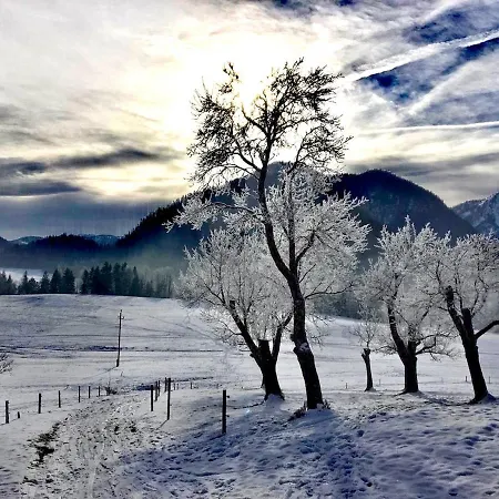 Lejlighed Grundlsee, Willkommen In Mami's