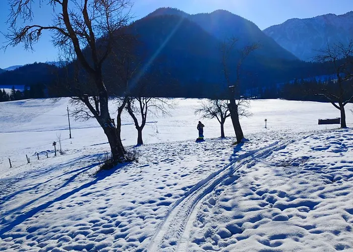 Mami S غروندلسي